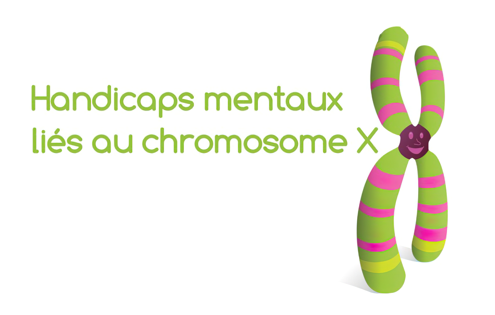 Association Xtraordinaire